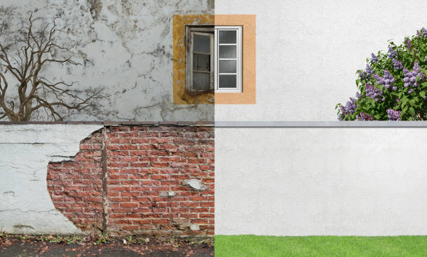 Best Basement Mold Removal  in Ventnor City, NJ